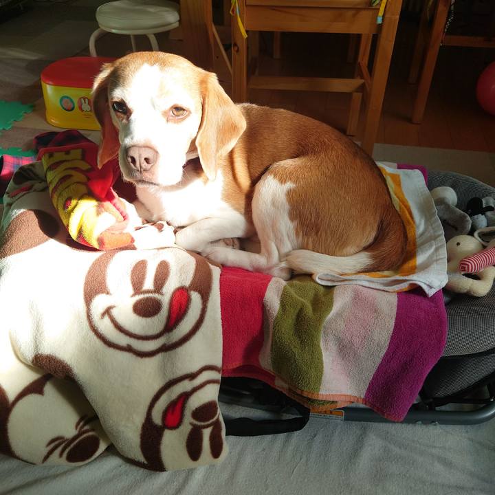 47836159 ff88 455c a042 02f4acdb6fac 1736222897947