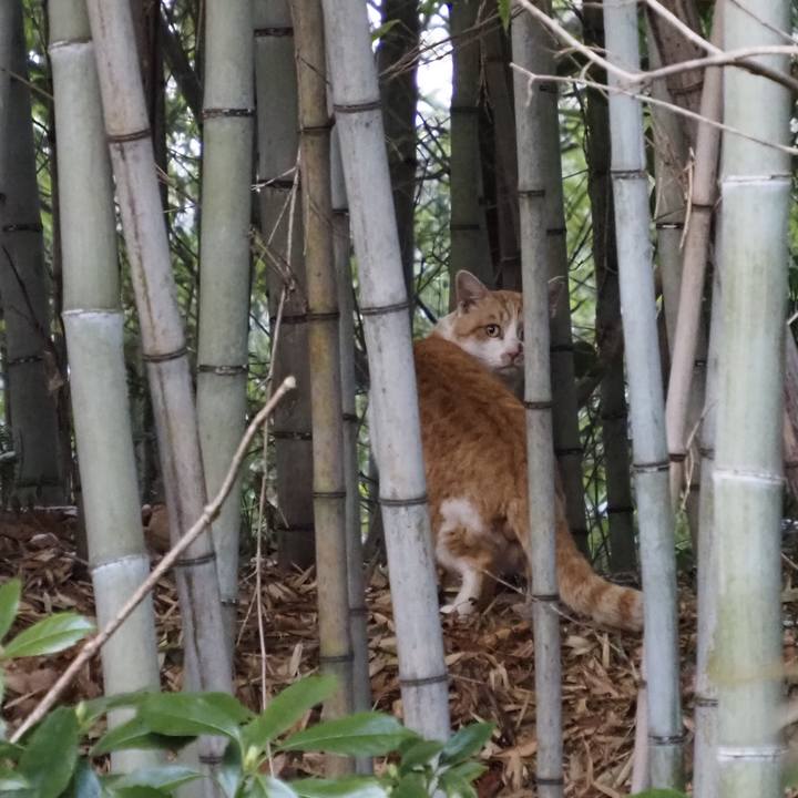 47836278 af30 401a b2cf 072a47617c1e 1612432712840