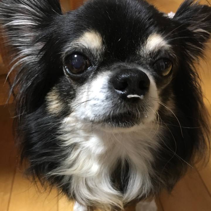 4783b5c1 fd02 4c0d 9644 ab82db44b27c 1508935589357