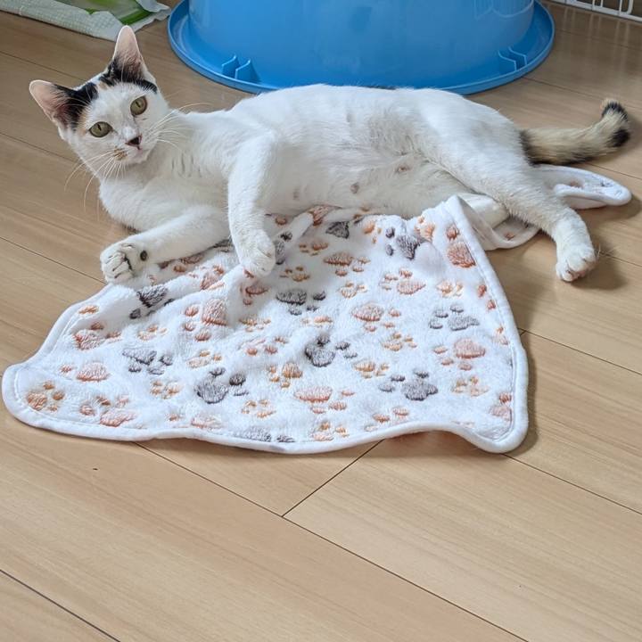 4783df52 8090 4e2b 9059 0ad35fec5a3f 1721192030032