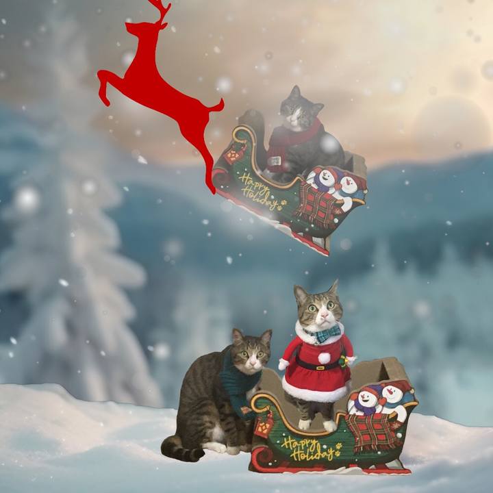 478422ed 671f 47c0 aab0 bbc1ce33df1b 1703414063151