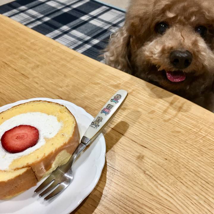 47843b0e f612 4d1d 8c0f 23d0da331881 1517057197267