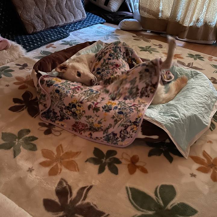 47843e90 0aeb 4779 a2cb b2affd78b5b2 1668721784260