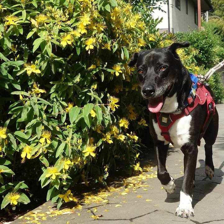 47846641 af4c 4d06 b202 43075b39b382 1685580695510