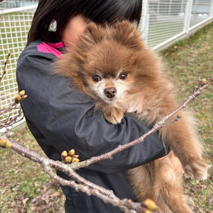 4784afba 1a07 4aa4 8222 1f7dbf0bd8fa 1775265333470