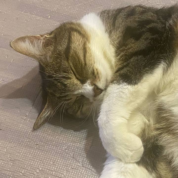 4784b731 e626 40a1 9f41 71e1448695dd 1654179299703