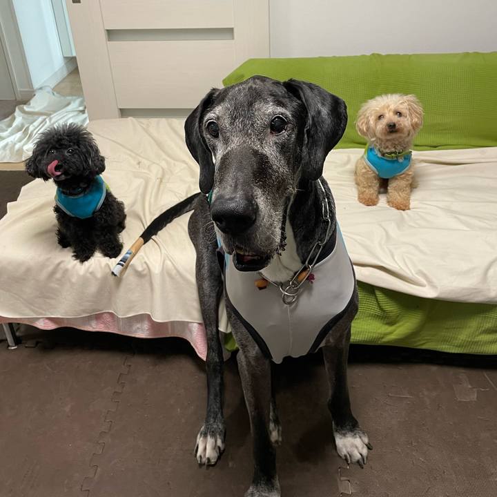 4784b962 fe32 4ace 9071 d924b5b3ff30 1659909595543