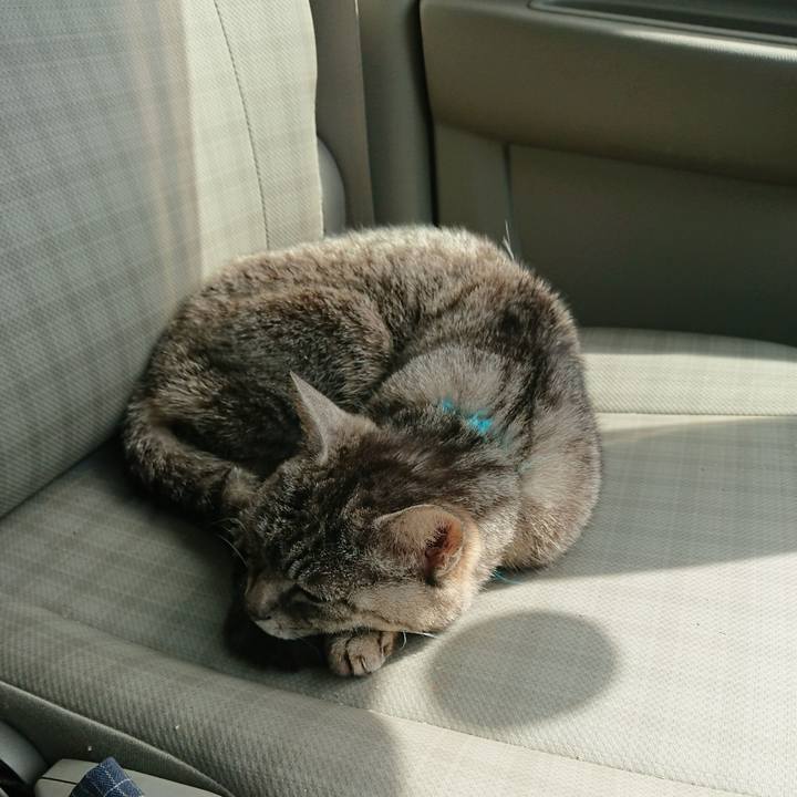 47850228 5ae5 4e4d 9131 55efaaf8a753 1556424906461