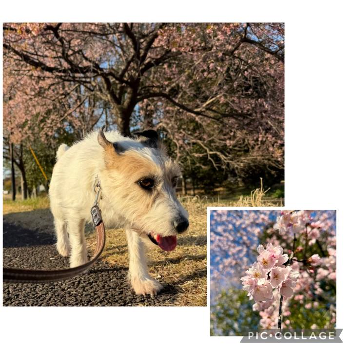 478502fc 681c 423b 9fcf 20d03ad711a6 1773653126478