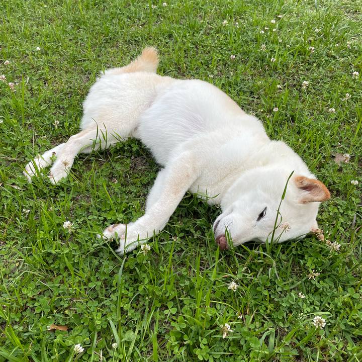 478513d1 a460 43e1 a58a 7c2dd26e30ba 1651411820457