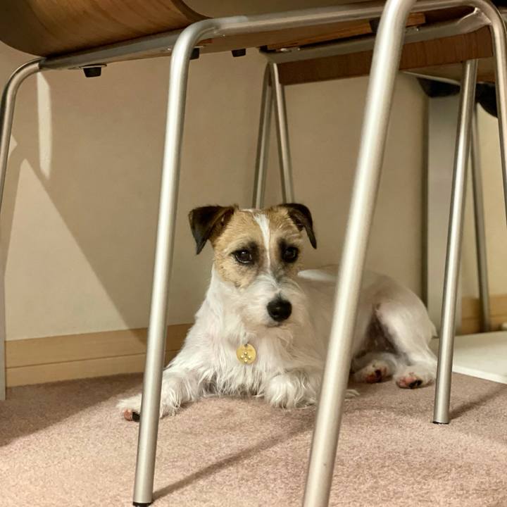 478520d3 2b6b 4895 b467 8ef3a9121cec 1623762678023