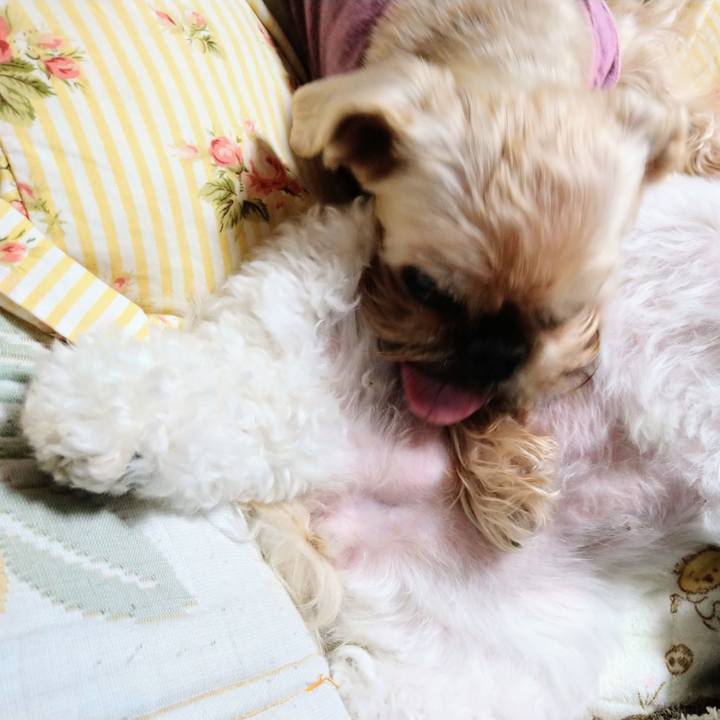 47854455 1146 4aba 9780 71617984812d 1665885619214