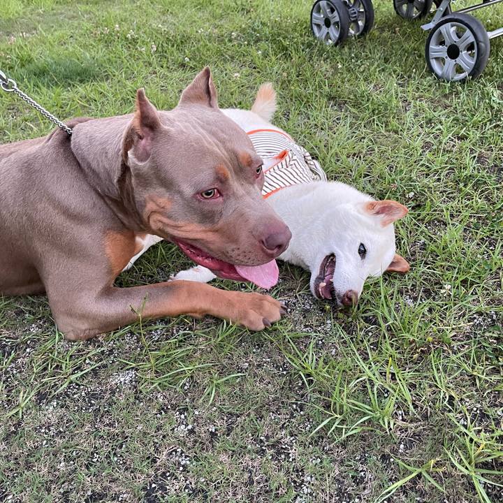 4785526a 7195 4d8c ab39 fdf75845ee88 1656685609371