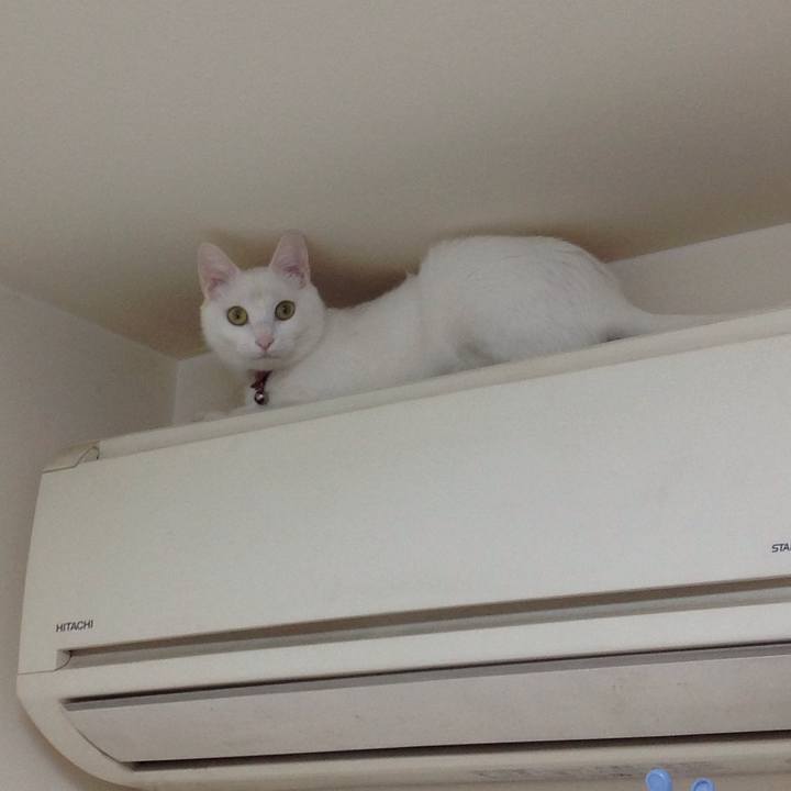 4785bd0d 424c 4716 9084 e1d76459953e 1637879507048