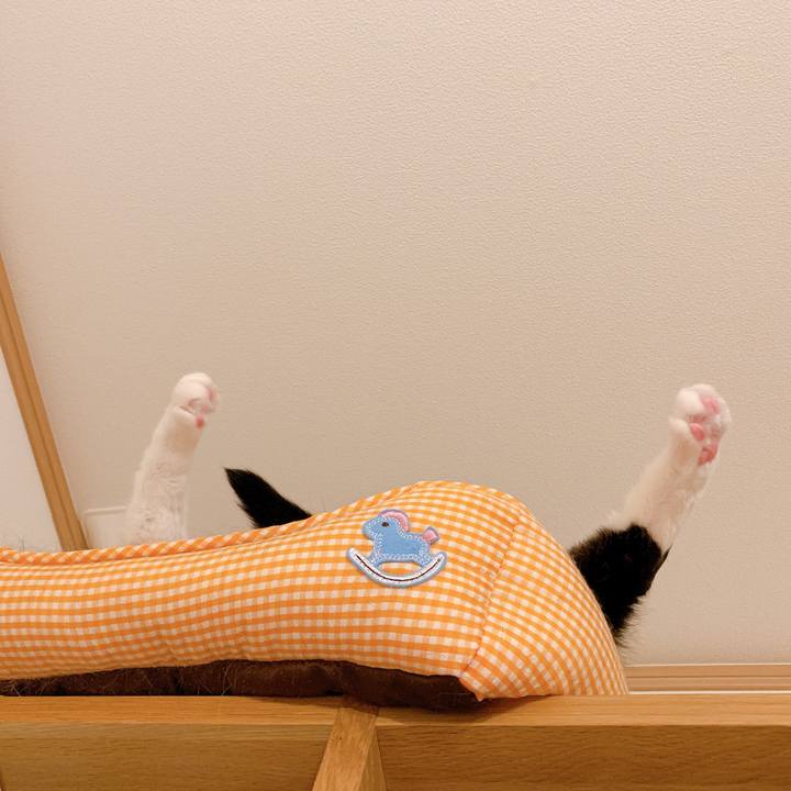 4785e85b d10d 430d b3d2 10f46e321c90 1564242078237