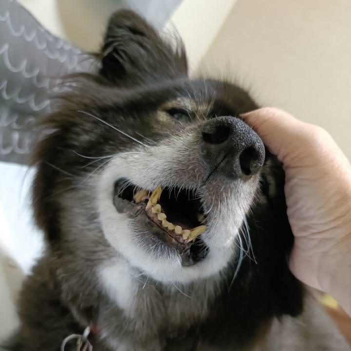 4785f79f ffb1 4bca 8f1f 4157c57dc102 1762471660488