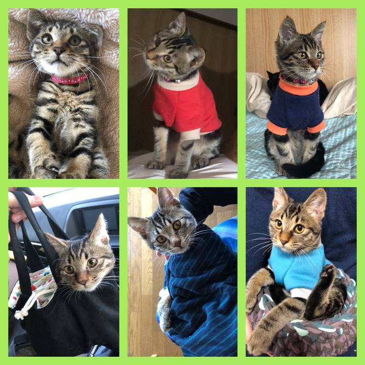 4785fa38 9212 4cfd b5a1 37af941ea1a9 1731840457373