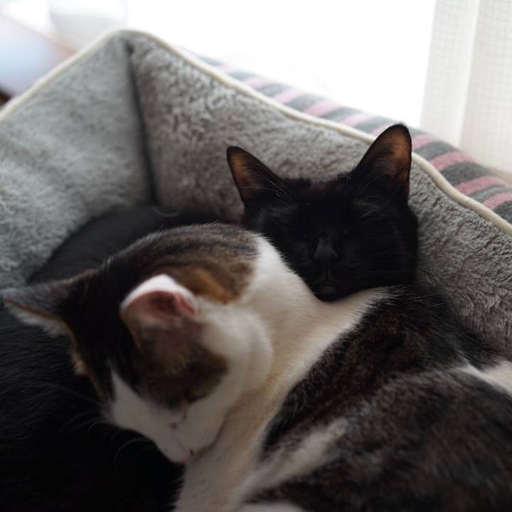 47862641 122a 430a be72 5d7b397f97b8 1551743667626