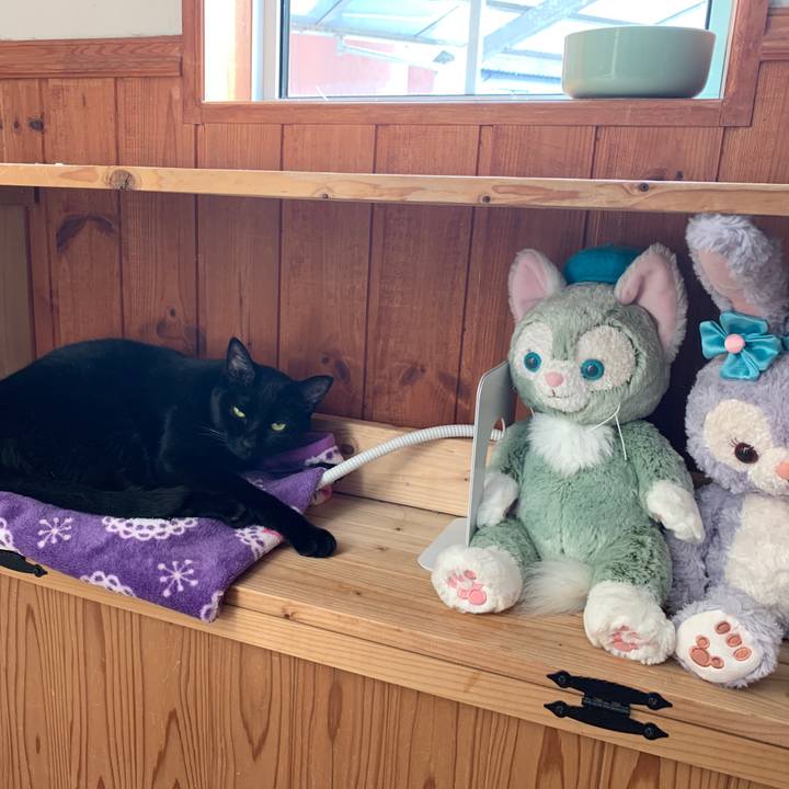 4786a4dd f479 4786 91da 4f64152aabde 1643437517050