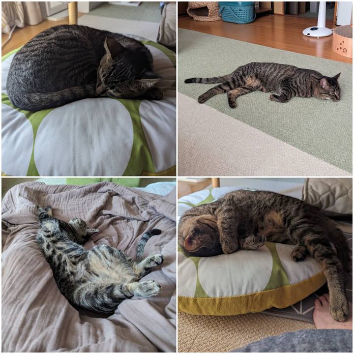 4786ce21 9267 408b 97f2 fd0f43b646e3 1717841382475