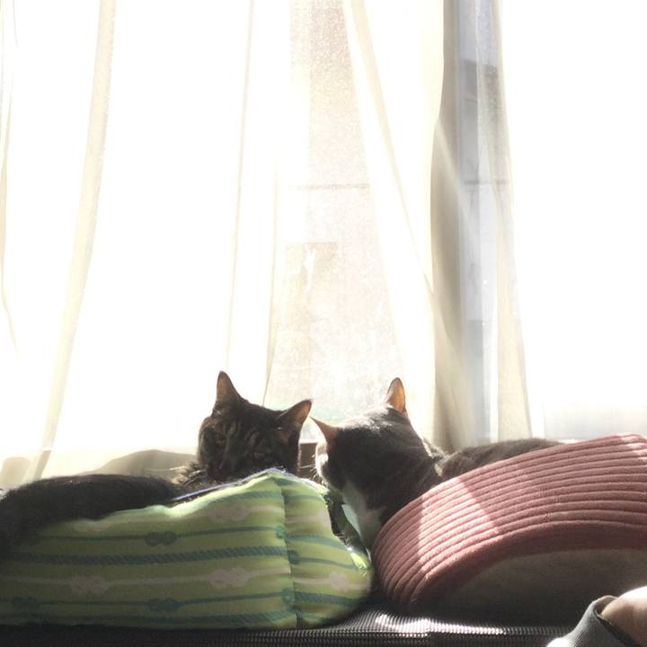 478723d8 431a 48ac 9165 456f06d011f3 1580616743189