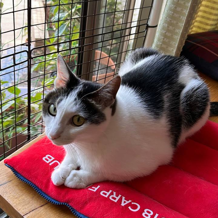 47873d53 fbb9 4f79 881e aafeec11b999 1754091667378