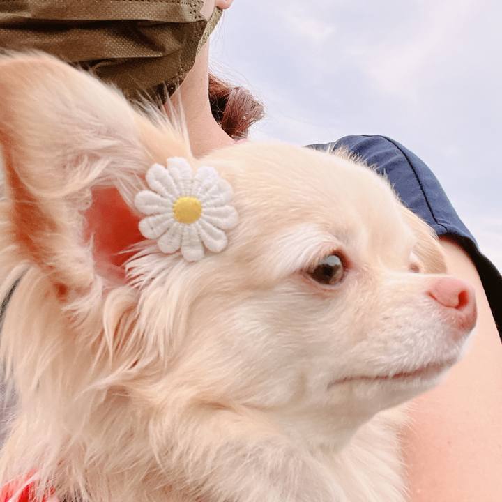 478746dc 9843 4c38 bb01 a90e03aa3a28 1656845703870