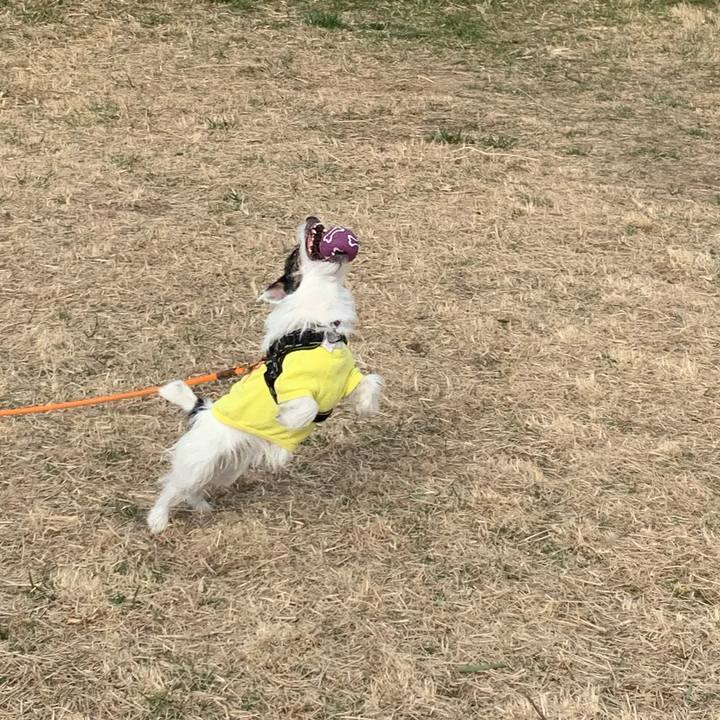 478777d7 9d41 488c 919a b56f6f7adc9f 1677631093993