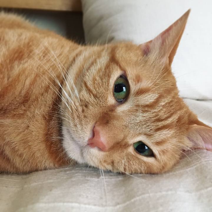 47879441 6edb 408d a4bf 91df7cf4e537 1593825758985