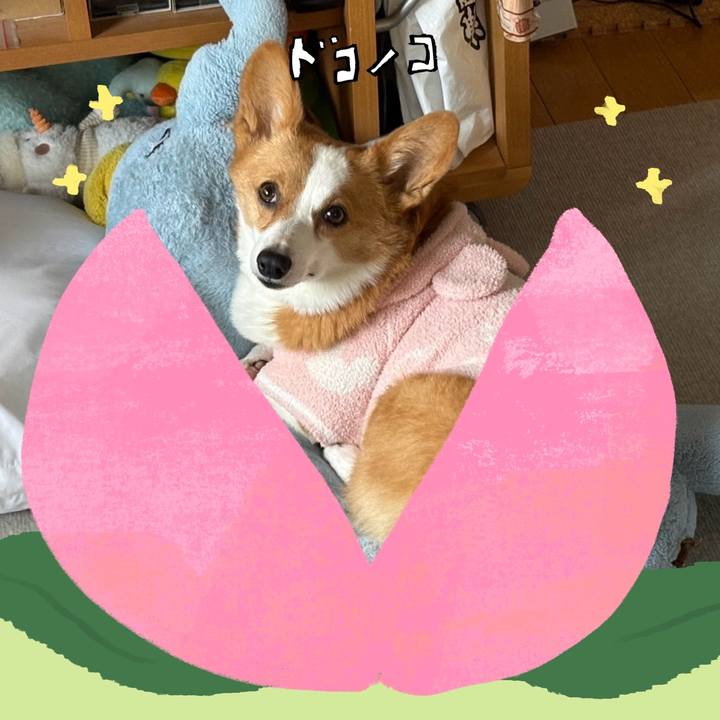 478796ba 038e 4ba7 b605 8856073e83e6 1772148722488