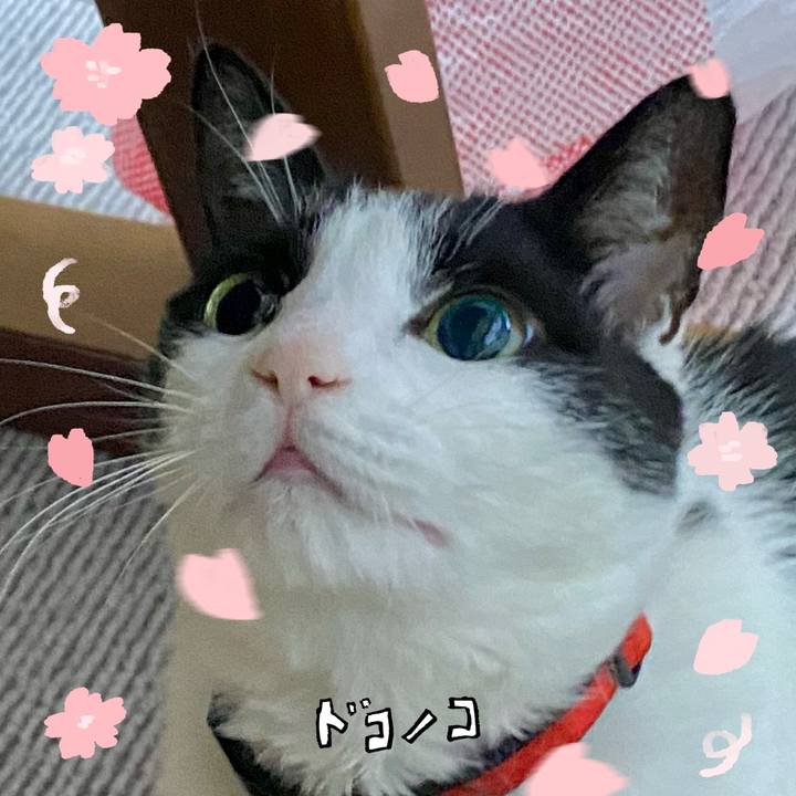 4787ab82 a460 486e 80b5 dd633f68c6d5 1744760875448