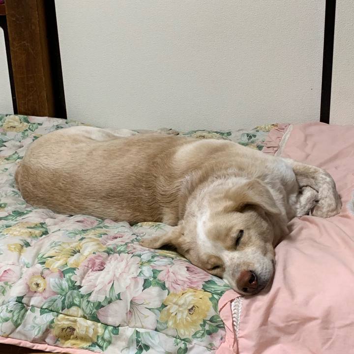 4787b541 8356 4a01 a469 6c5eeb3d26fe 1556449223096