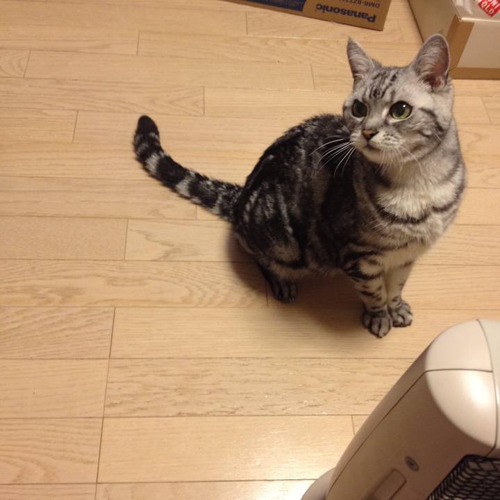 4787defc e176 4501 bd87 2c7b8ca4027a 1533727475437