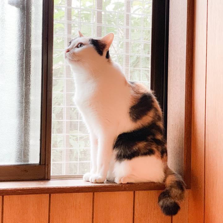 4787f465 78d3 4828 afd4 6fb8ca9b8b33 1572485584335