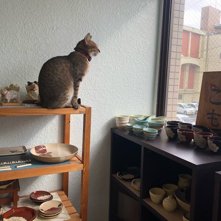 478816bc a8bd 4e29 9577 12c88a8cf7be 1609992892024