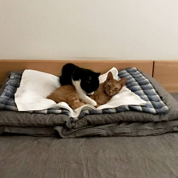 47882317 2bc0 4d0b bef8 4b664e371598 1567068691733