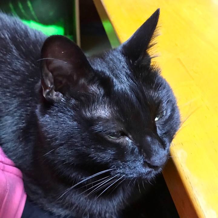 4788404a aedb 4ea3 b0c3 c6417ca0b569 1558438807726