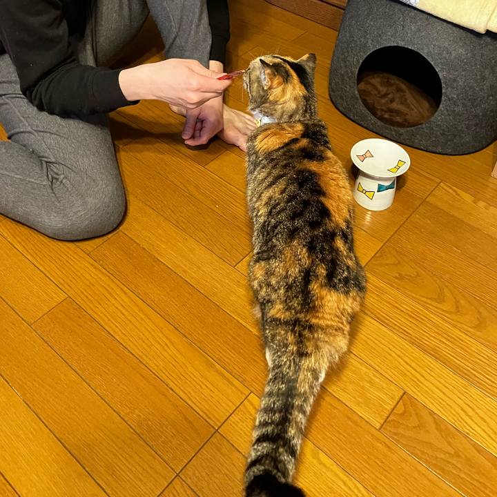 478850e6 6dc7 4fd1 9992 47dd7f8deea0 1775689144568