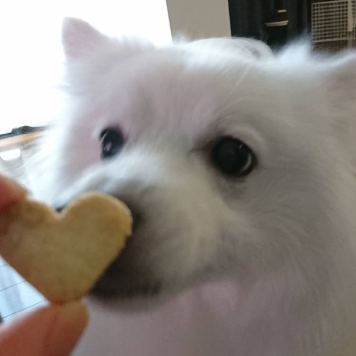 47889171 a0cb 4f99 977d f89856465558 1603521132268