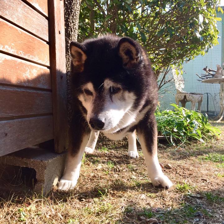 4788da99 f728 4d0d a230 177d188e704b 1516178973683