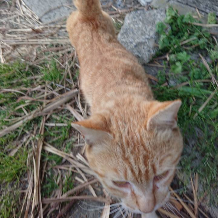 478972d5 3292 49dd a0d4 9e5073416a69 1557479769022