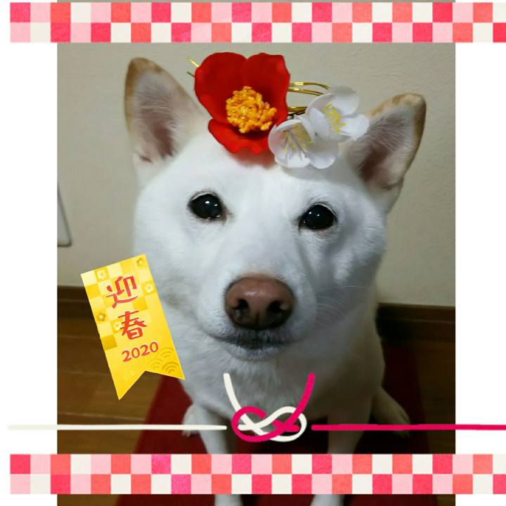 47898d86 88ff 4cb2 aab3 aea908b24580 1577805184266