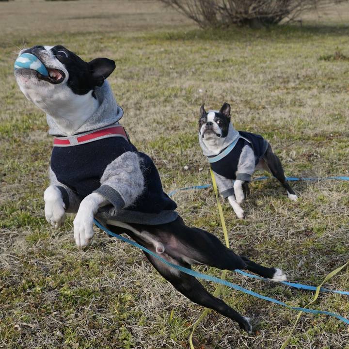 47899bb4 3494 40f6 b11b 69908429dae4 1518437299173