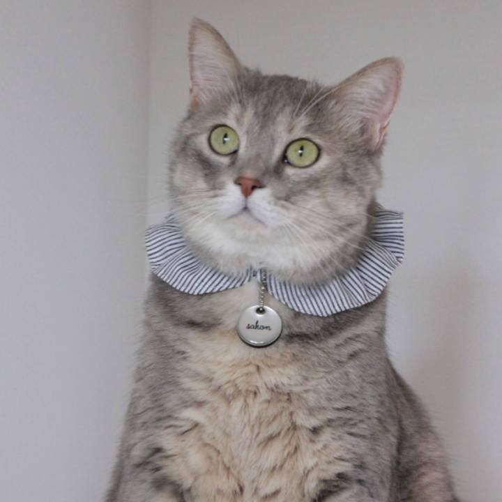 4789be3f c283 4b8b 98b9 8c9acea0fb07 1660880912882