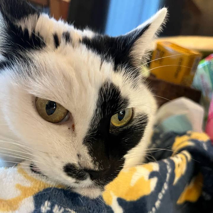 4789d563 8f78 49d2 8f80 e2ed60e11723 1773153979469