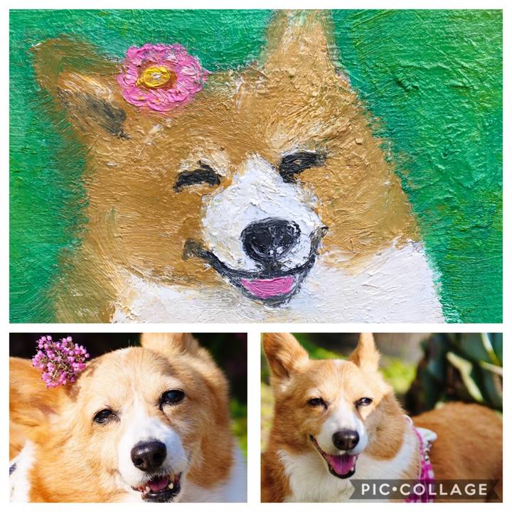 4789e58f 3fca 45fd 96c7 cce128e006bd 1586305688028