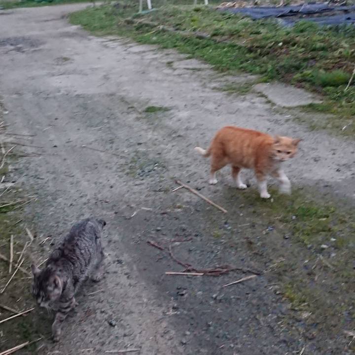 4789fea8 31c3 48f6 a116 551fb401b70c 1585300631752