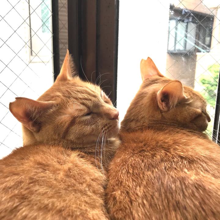 478a1ee1 e7be 440f b359 e9660b488467 1590291534888