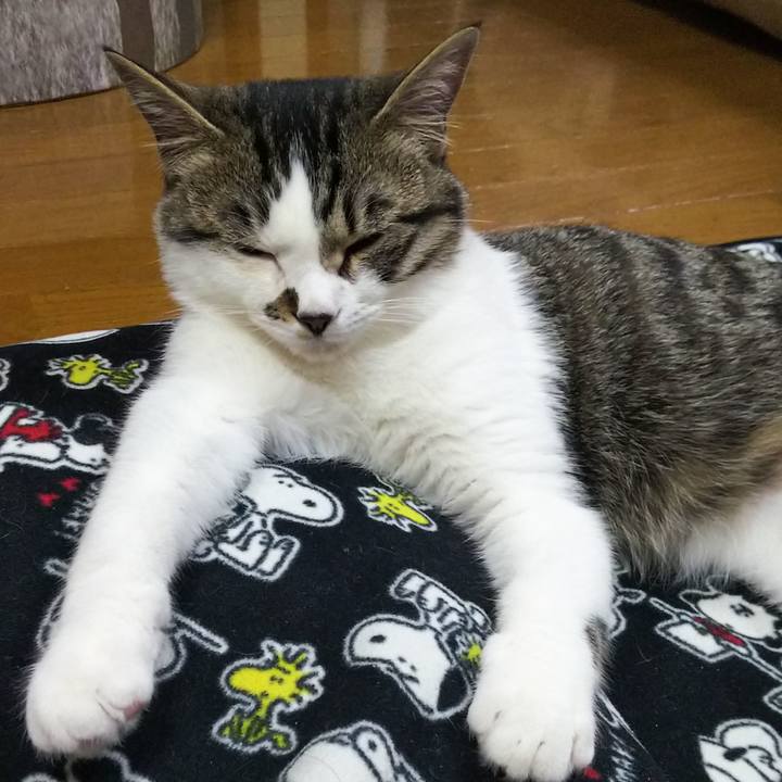 478a6785 bfc1 424a b924 f2f538a919a8 1615894302066