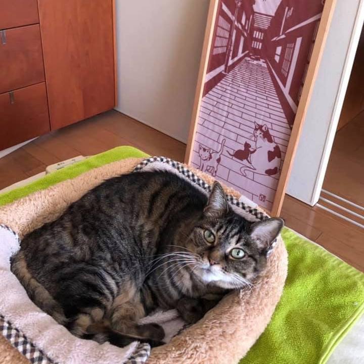 478a6d42 4626 45d8 9545 14adfc277d98 1764548068414